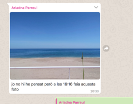  Imatge: Captura d'una conversació amb Ariadna Parreu amb una imatgePlatja i mar horitzontal