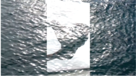 Frame del video de @jiggle.it Mar Pons: fons d'aigua marina i silueta del seu cos,Frame del video de @jiggle.it Mar Pons: fondo de agua marina y silueta de su cuerpo, @jiggle.it Mar Pons's Video Frame: Sea Water background and Mar Pon's silhouette.