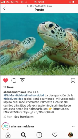  Captura Instagram Alianza mar blava