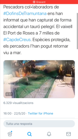  Imatge: captura noticia twitter d'un Tauró Peregrí, Tiburón Peregrino, Basking Shark el dia 22/05/2020