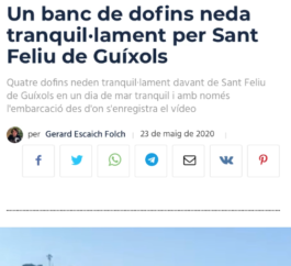  Imatge: captura de pantalla d'un video d'un banc de dofins nedant en llibertat per Sant Feliu de guixols el dia 23/05/2020