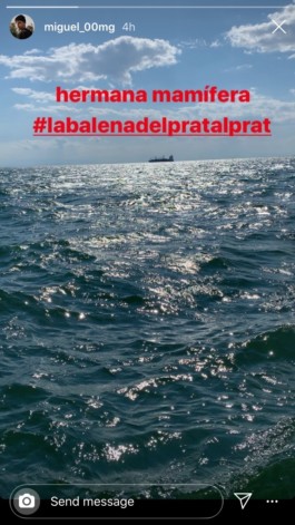  Captura de la publicació storie de Miguel Angel, fons marí amb cel amb #labalenadelpratalprat