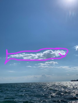 Miguel Angel Garcia Gómez: Foto d'un cel i el mar on hi ha dibuixat una balena d'un nuvol amb una línea de color fucsia, Miguel Angel Garcia Gómez: Foto de un cielo y el mar ha dibujado una ballena con la forma de una nube con una línea de color fucsia,