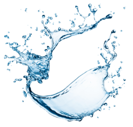 Imatge: salpicón aigua