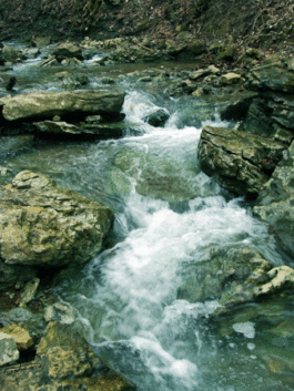 Imatge: un rierol que baixa el aigua amb corrent entre les pedres, Imagen: un riachuelo que baja el agua con corriente entre las piedras