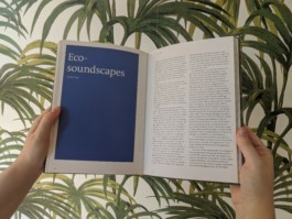  Imatge del Text de David Toop in LAND, ART pp150-151