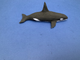  Escultura moldeada por Evripides & His Tragedies de una Orca negra y blanca instalada sobre un papel azul oscuro y vista lateral titulo Orca 02