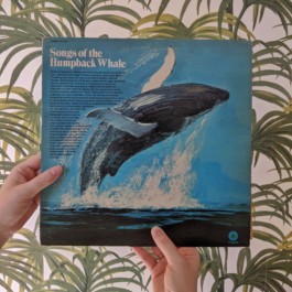 Imatge: Vinilo-Songs-of-the-Humpback-Whale-1970