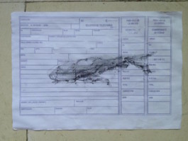 Imatge: Pintura de ballena de Odalys Orozco sobre papel de telegrama red de correos CUBA.