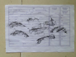  Imatge: Pintura de delfines saltando de Odalys Orozco sobre papel de telegrama red de correos CUBA.