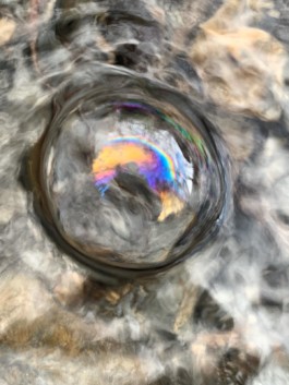  Imatge: una bombolla d'aigua i una forma de balena amb arc iris d'Eulalia Valldosera