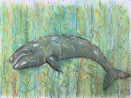  Dibujo de Evripides & His Tragedies Titulado Delfin tempera loco , en fondo verde un dibujo de colores azul, verde, naranjas, Titulo Ballena gris pasteles, situada de perfil.