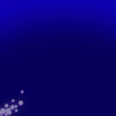 gif: Beluga es fa i desfá amb bombollas amb fons blau