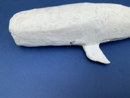 Escultura de color Blanca instalada en cartulina azul marino hecha por Evripides & His Tragedies título moby dick detalle