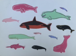 Imatge: Dibuix Euvripides and his tragedies de variados de cetáceos