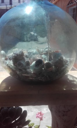  Fotografia de Pilar Mayoralas,es un jarro redondo de cristal transparente la luz es intensa y dentro se observan piedras y conchas marinas.