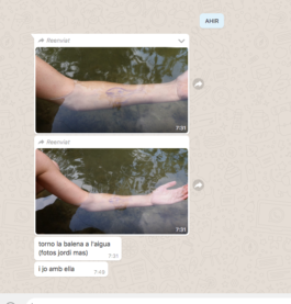  Captura de pantalla de Fiona Capdevila, fons d'aigua un braç summergit amb un dibuix d'una balena amb boligrad blau, fotografiaJordi Mas_ Torno la Balena a l'aigua i jo amb ella