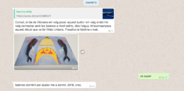  Captura de pantalla d'un missatge instantani de la Martina Millà que parla de la seva Vibraera, del Cuadro d'en Aldo Urbano que li ajuda a dormir i dels sons de balenes que ja del tot li han ajudat a tenir un somni oniric i profund, el te penjat a sobre del seu llit.