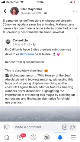  Captura de pantalla de Pilar Mayoralas que comenta un post en el Facebook: El canto de los delfines abre el chacra del corazón. Como nos ayuda a sanar los animales. Mañana luna nueva a las cuatro de la tarde estaran conectados con el universo y nos transmitiran amor universal .