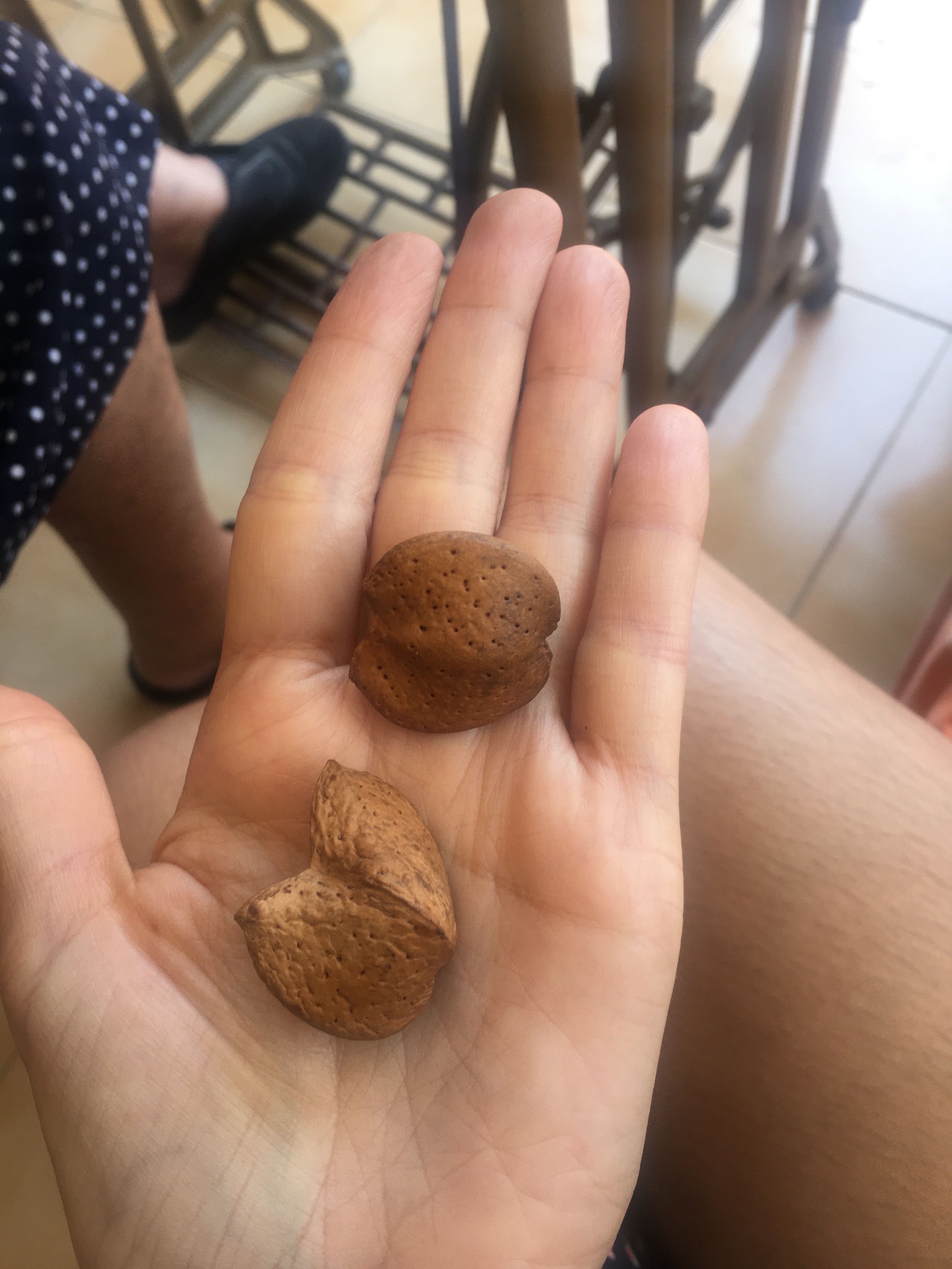 Imatge d'una palma d'una ma amb dues atmelles besones ial fons una maquina de cosir de peu, les cames de la Abuelita y una cama de la Consuelo