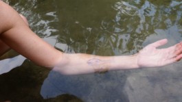 Captura de pantalla de Fiona Capdevila, fons d'aigua un braç summergit amb un dibuix d'una balena amb boligrad